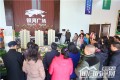效果图