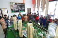 效果图