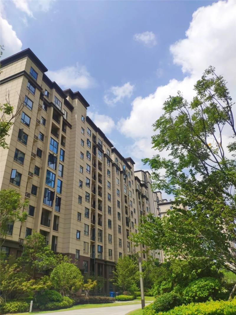 洋丰凤凰香醍7月家书02夏日光景长美好有归期