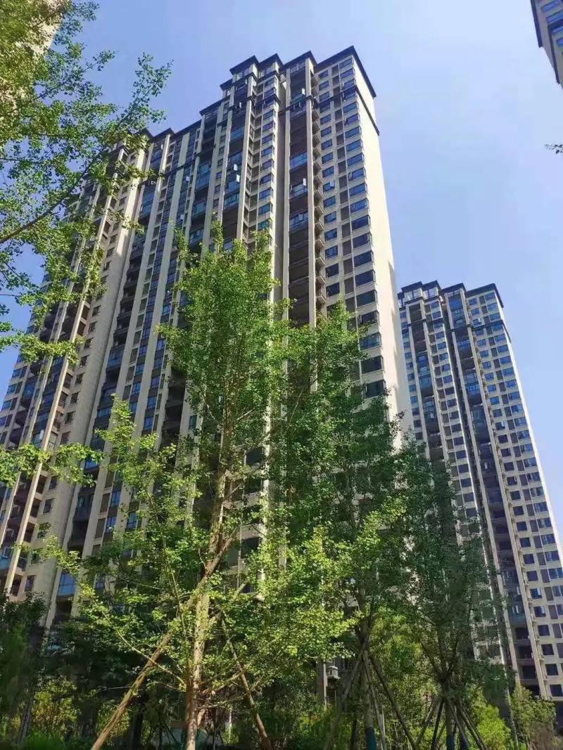 洋丰象山玉园来不及解释了荆门全城寻人免费送现金购物卡